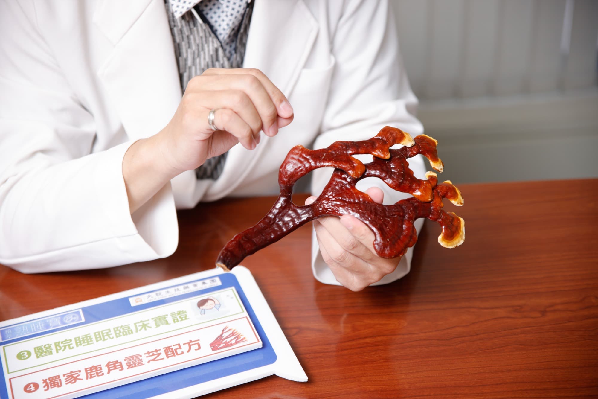 醫師雙手捧著鹿角靈芝原料標本的特寫
